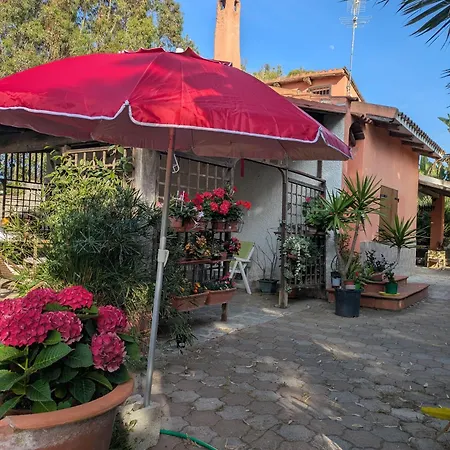 Accogliente Mansardato Casa Dei Girasoli Apartment Platamona