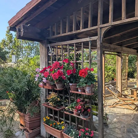Apartment Accogliente Mansardato Casa Dei Girasoli