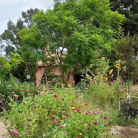 Accogliente Mansardato Casa Dei Girasoli Appartamento