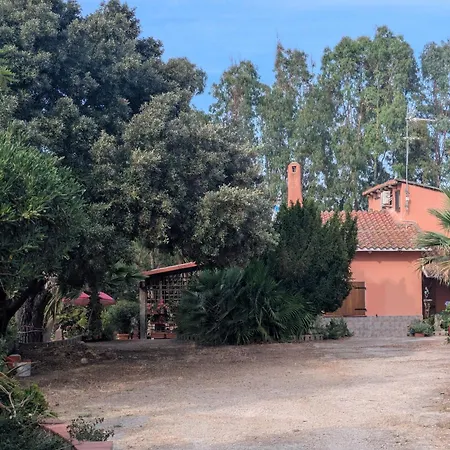Accogliente Mansardato Casa Dei Girasoli Apartamento Platamona